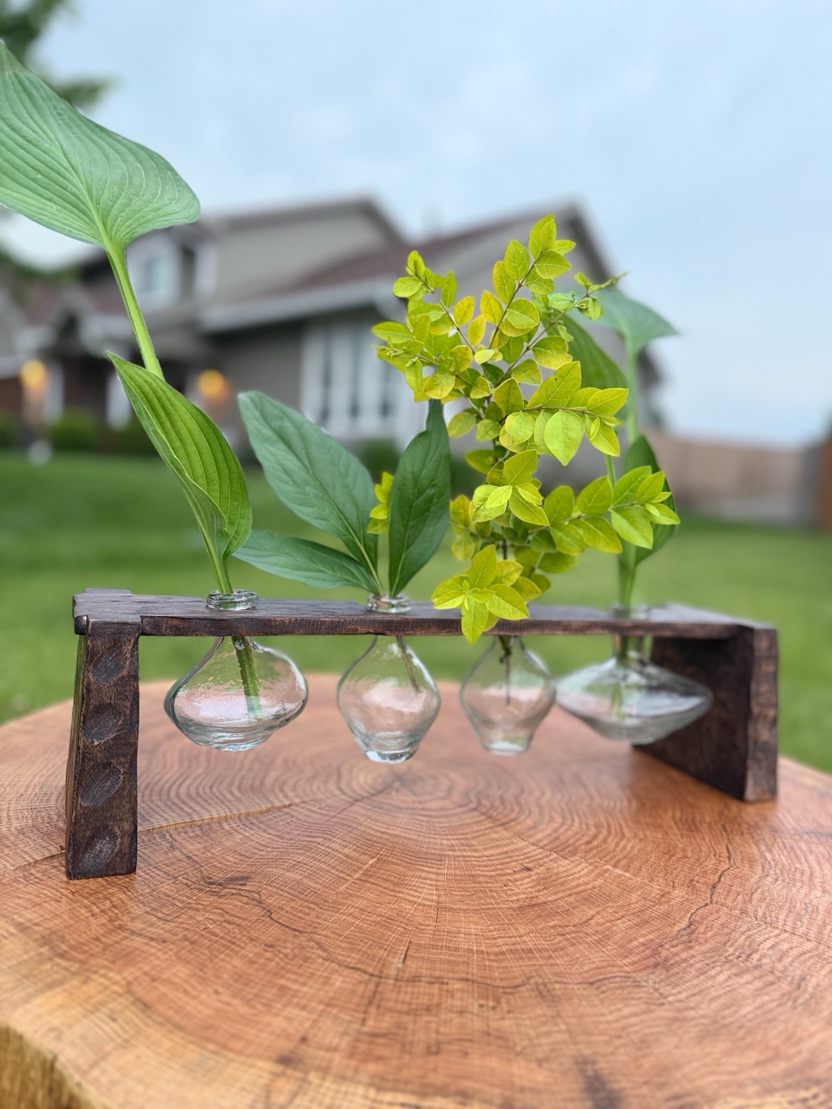 Glass vases set in frame